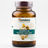 Himalaya Herbal Boswellia Shallaki